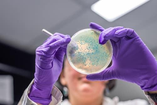 Clindamycin For Acne Results May Disappoint (Exposed Does Better)